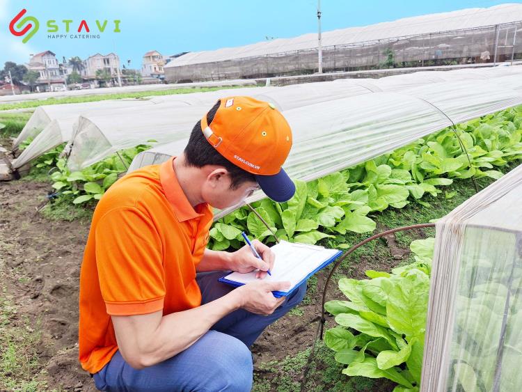Têu chí trên sẽ được chấm điểm theo thang điểm nội bộ đã được STAVI soạn sẵn
