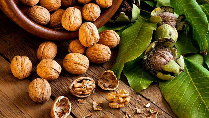 Quả óc chó có trong suất ăn trường học
