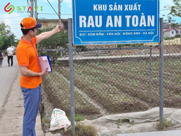 STAVI lựa chọn các nhà cung cấp đảm bảo chất lượng vệ sinh thực phẩm