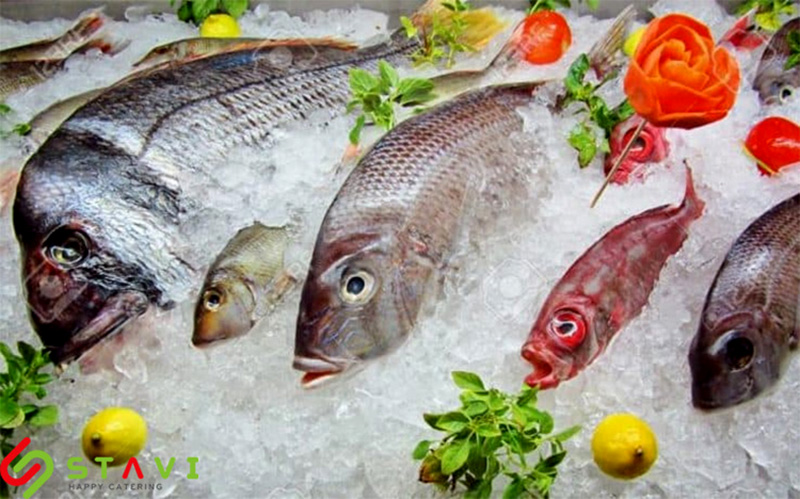 STAVI Cung cấp thực phẩm đông lạnh